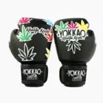 Yokkao